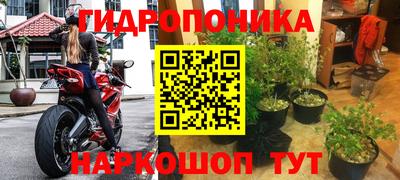 мяу мяу мука Комсомольск-на-Амуре