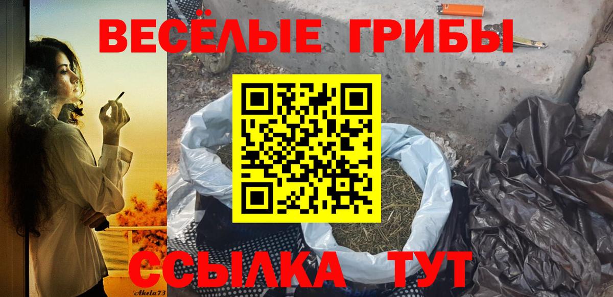 где найти наркотики  Псилоцибиновые грибы MAGIC MUSHROOMS  Кемерово  Вход с VPN  Псилоцибиновые грибы Cubensis 
