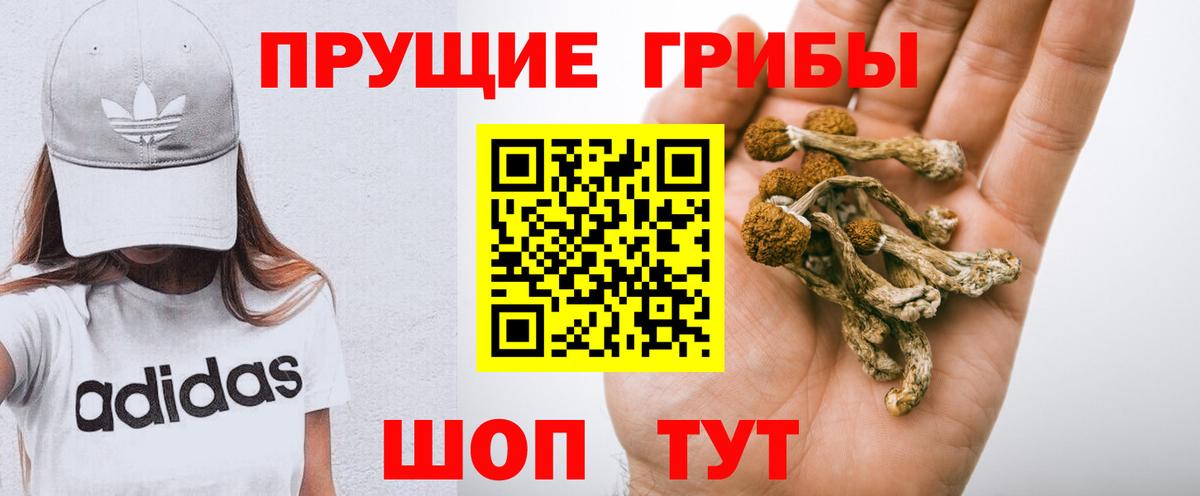 Псилоцибиновые грибы мицелий Кемерово